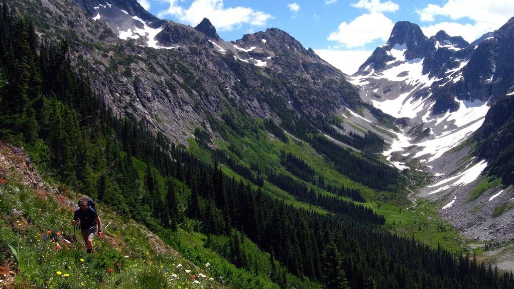 A hiker crossing wildflower meadows below Easy Pass with Fisher Peak and snowfields beyond
