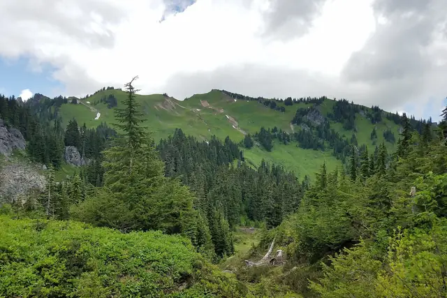 The open green meadows of Green Mountain seen from the trail in July