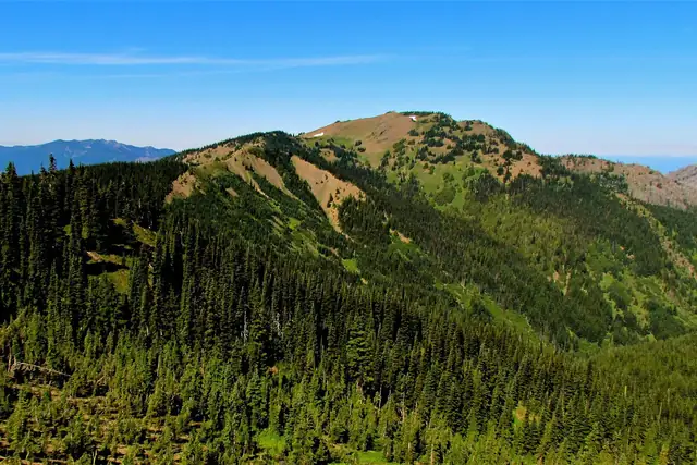 Hurricane Hill's bare ridge seen from Hurricane Ridge in early September