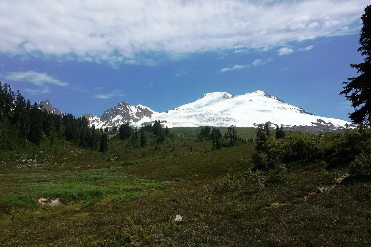 First full view of Mt. Baker from the meadows on the Park Butte trail in late June