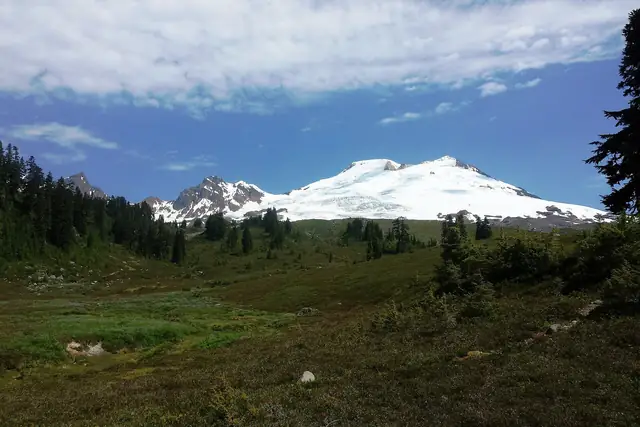 First full view of Mt. Baker from the meadows on the Park Butte trail in late June