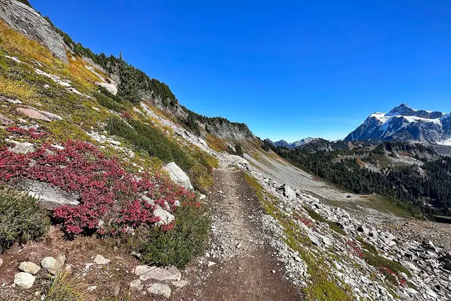 The Ptarmigan Ridge trail through red fall color with Mt. Shuksan ahead