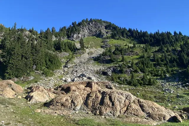 The rocky upper slopes of Yellow Aster Butte in August