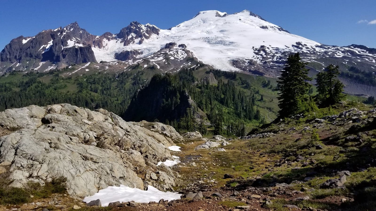 Glaciated Mt. Baker and the Black Buttes rising above pale rock slabs and heather on Park Butte