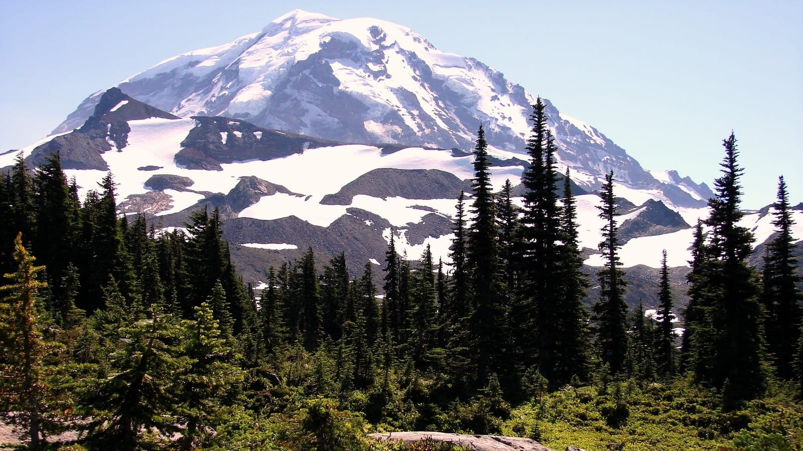Mt. Rainier's glaciers towering over the subalpine firs and meadows of Spray Park