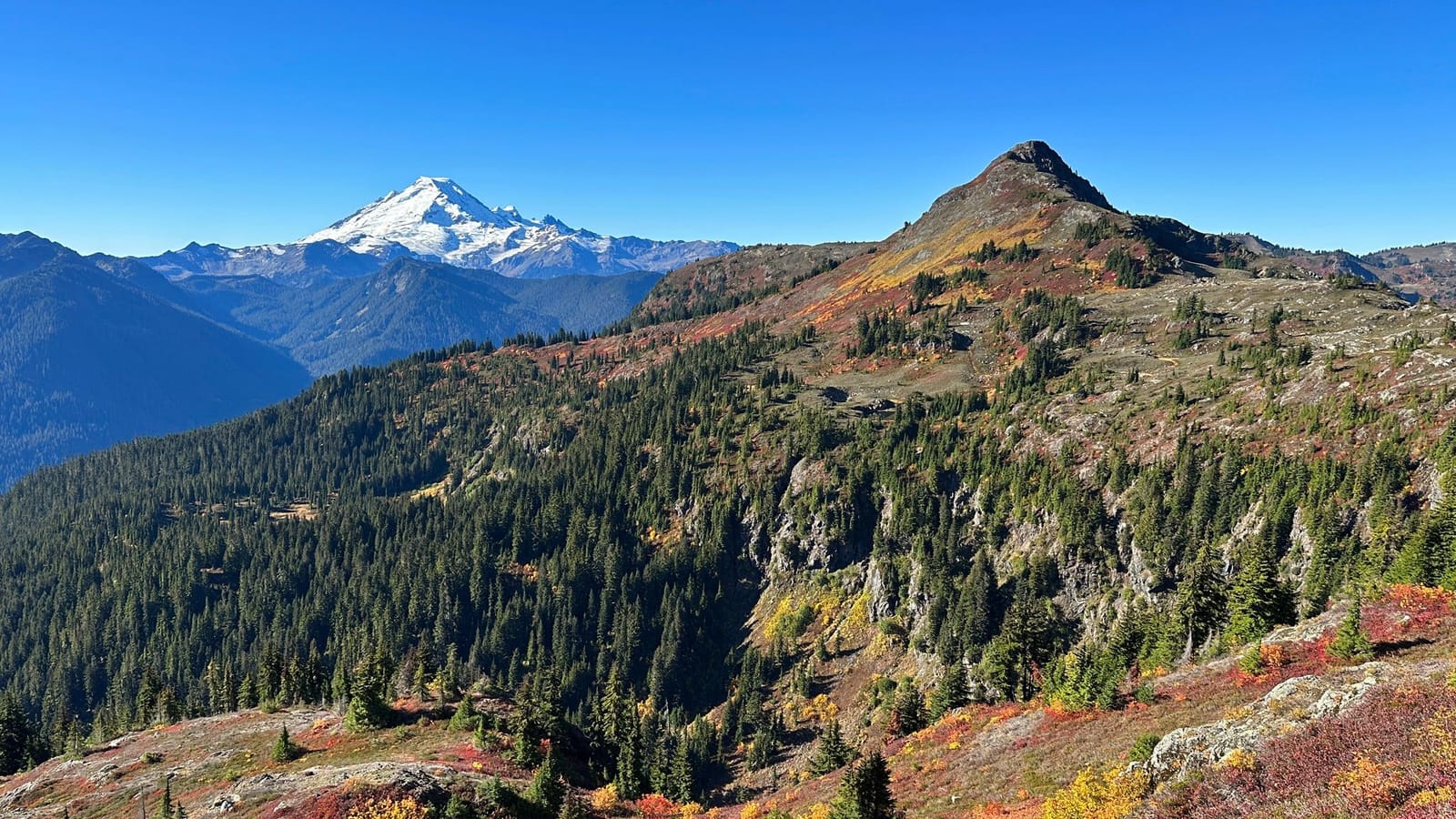 The pointed summit of Yellow Aster Butte above slopes of fall color, with snowy Mt. Baker in the distance